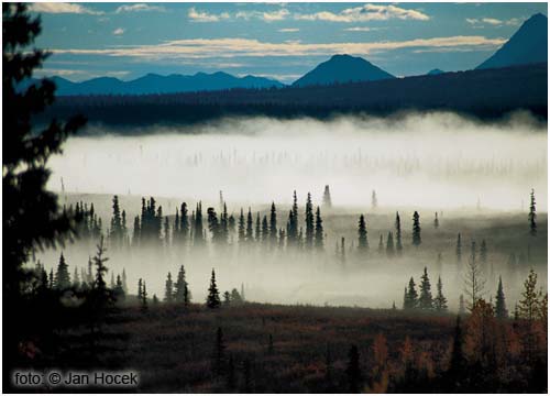 Národní park Denali, Aljaška «Jan Hocek»